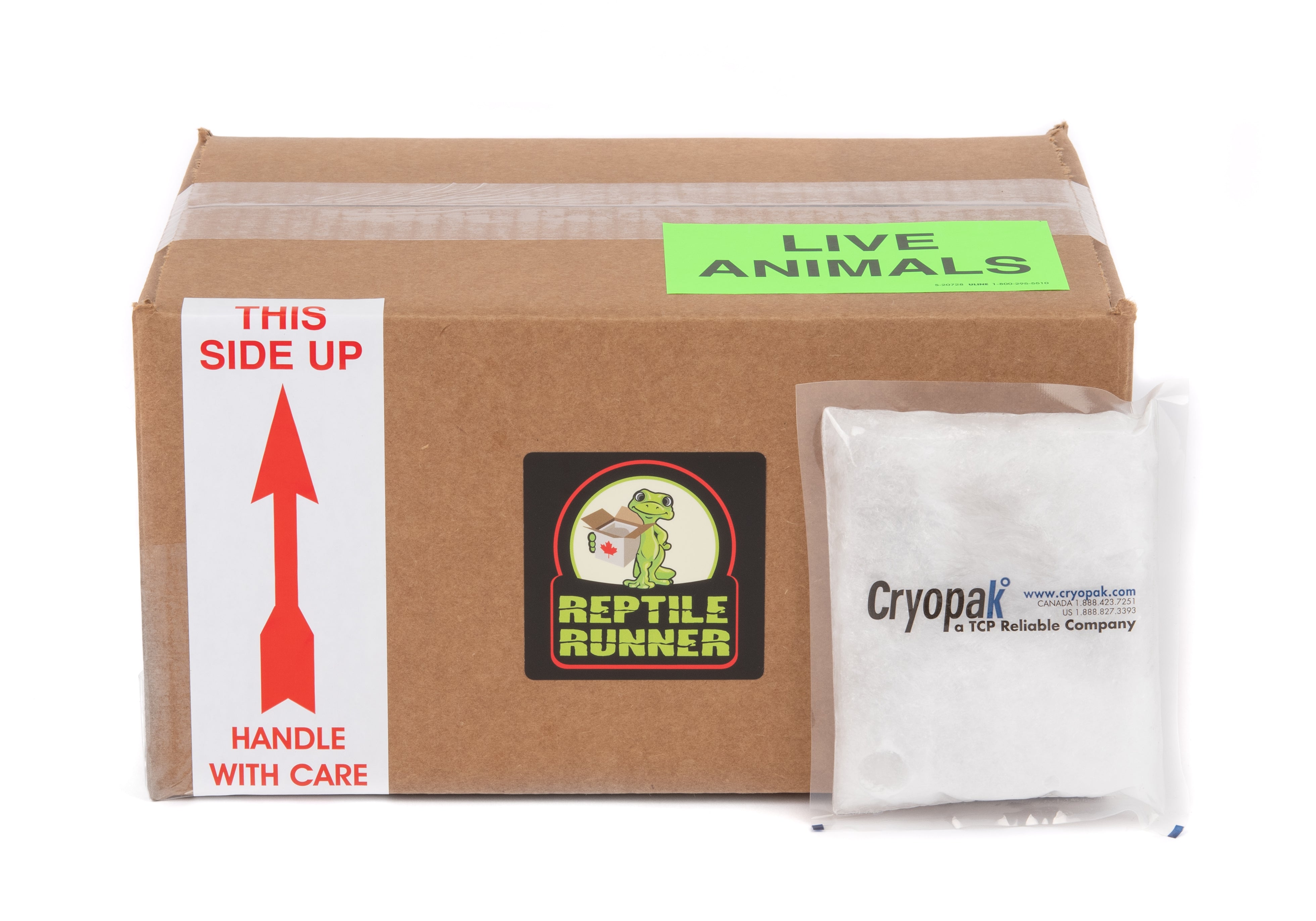 Shipping Box Kit - Summer