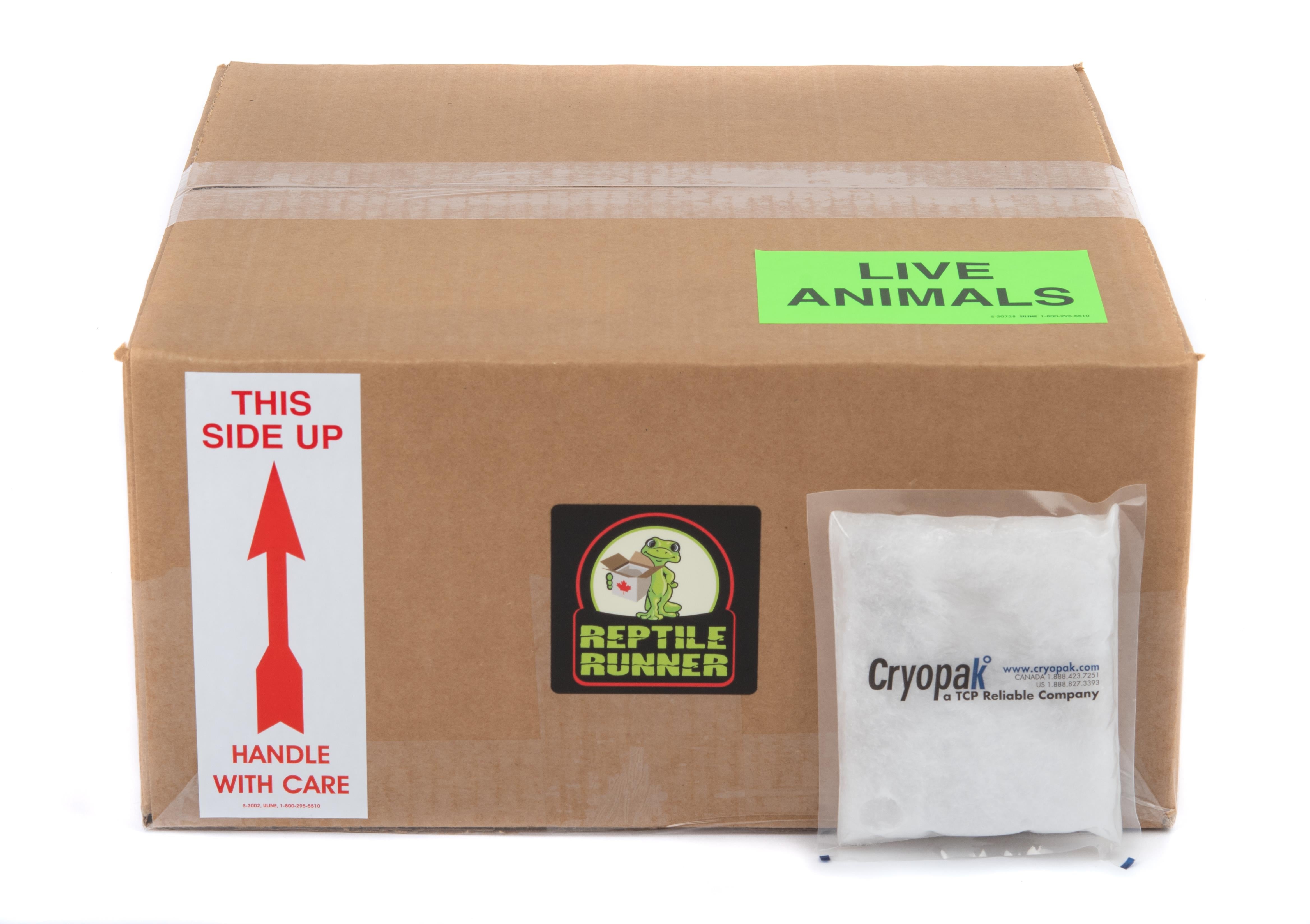 Shipping Box Kit - Summer