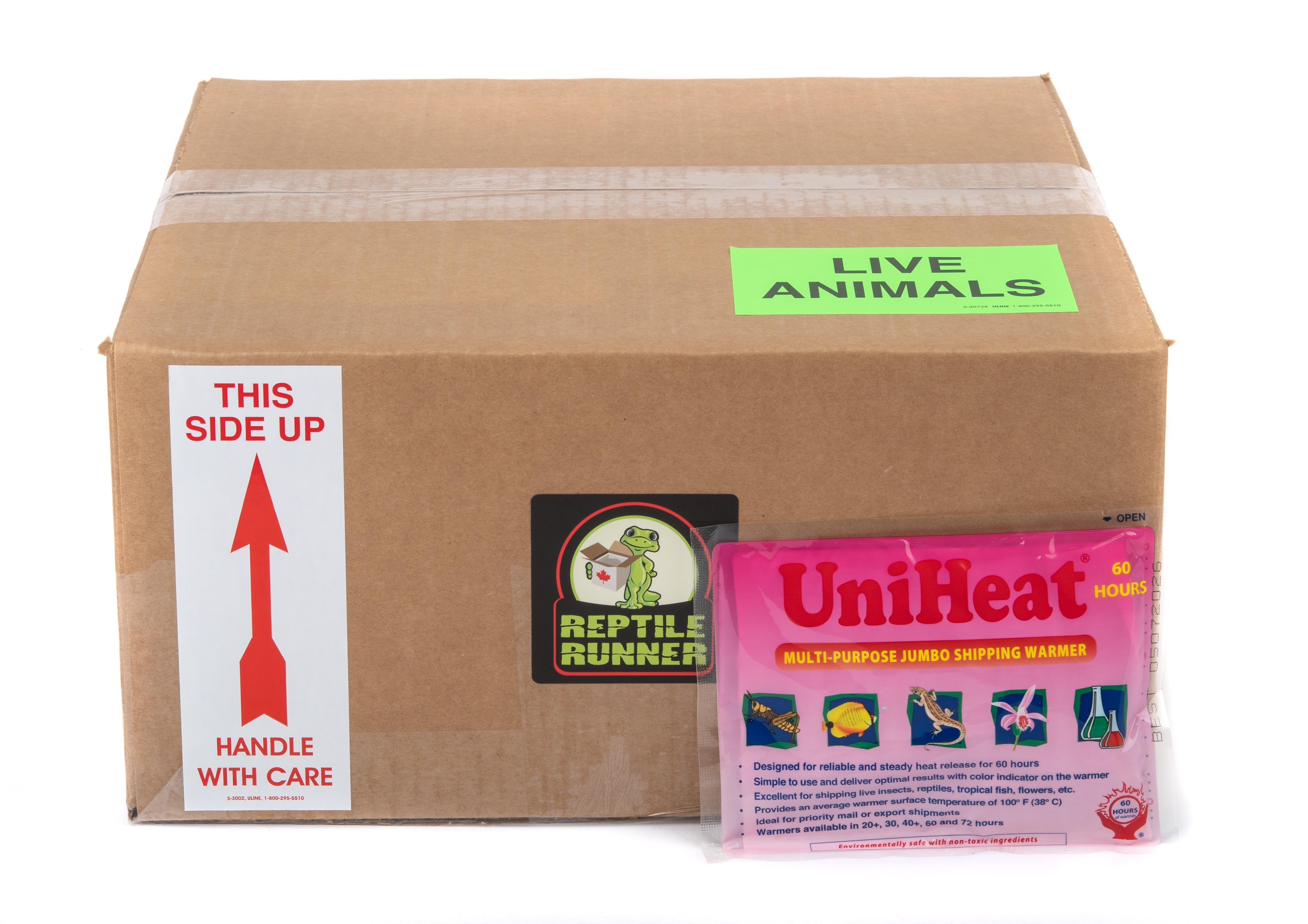 Shipping Box Kit - Winter