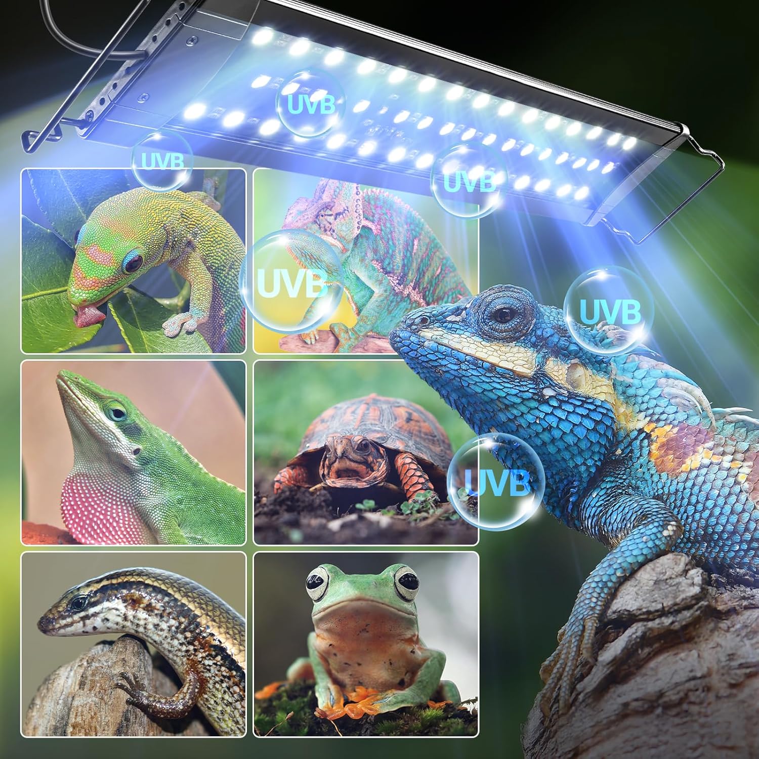 ReptiZoo Ultra-Thin LED / UVB Light Hood