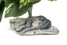 Habi-Scape Tropical Plant on Stone Base
