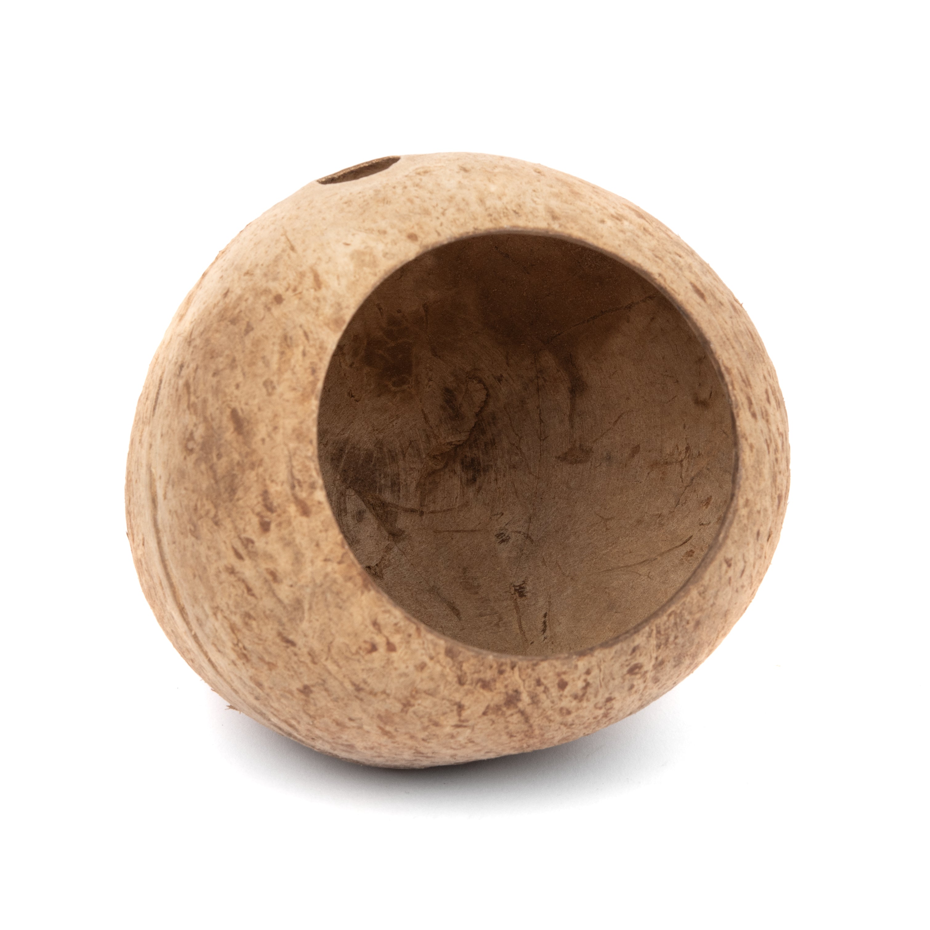 Aquaglobe Coconut Whole
