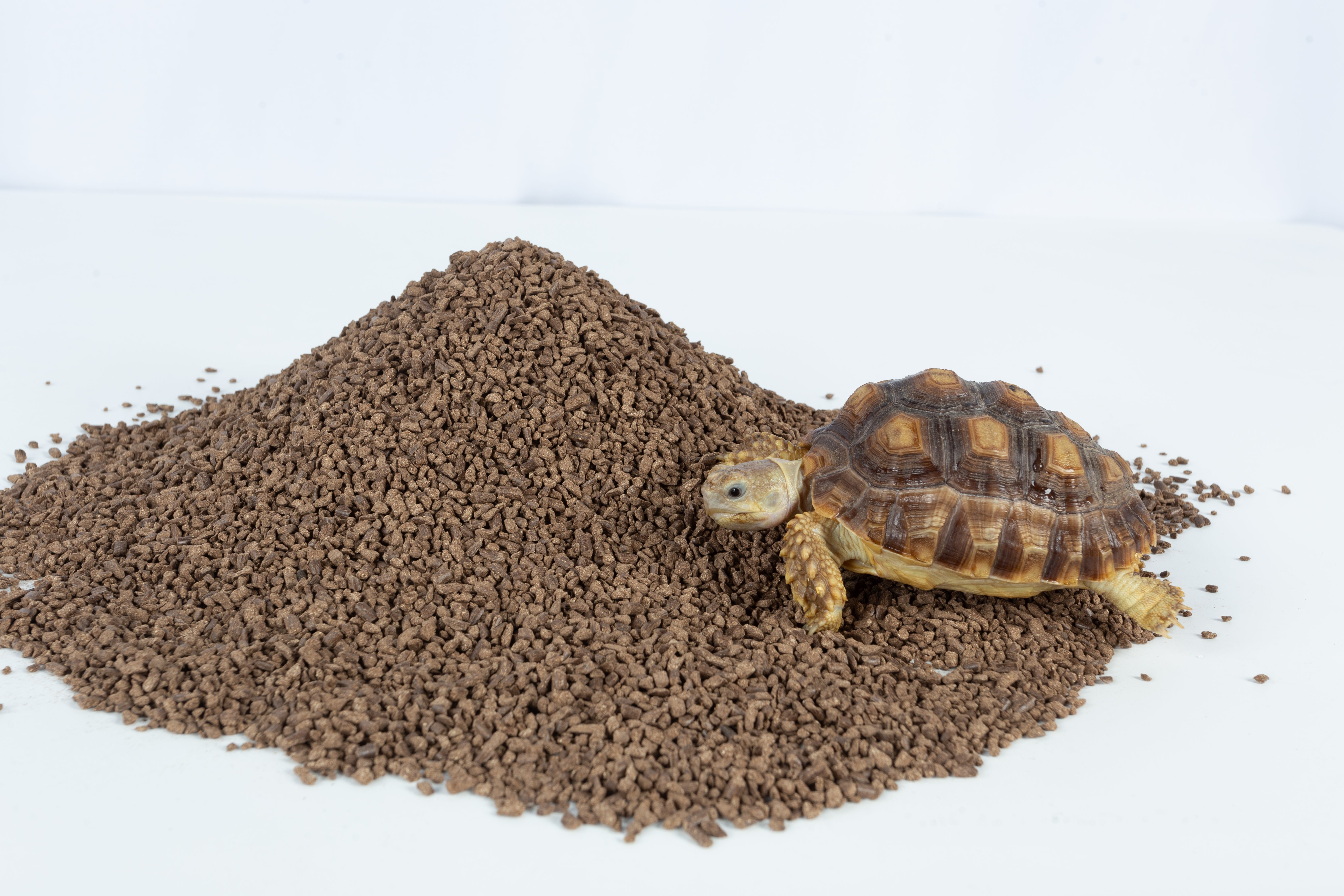 ReptiZoo Deoderizing Coco Composite Bedding