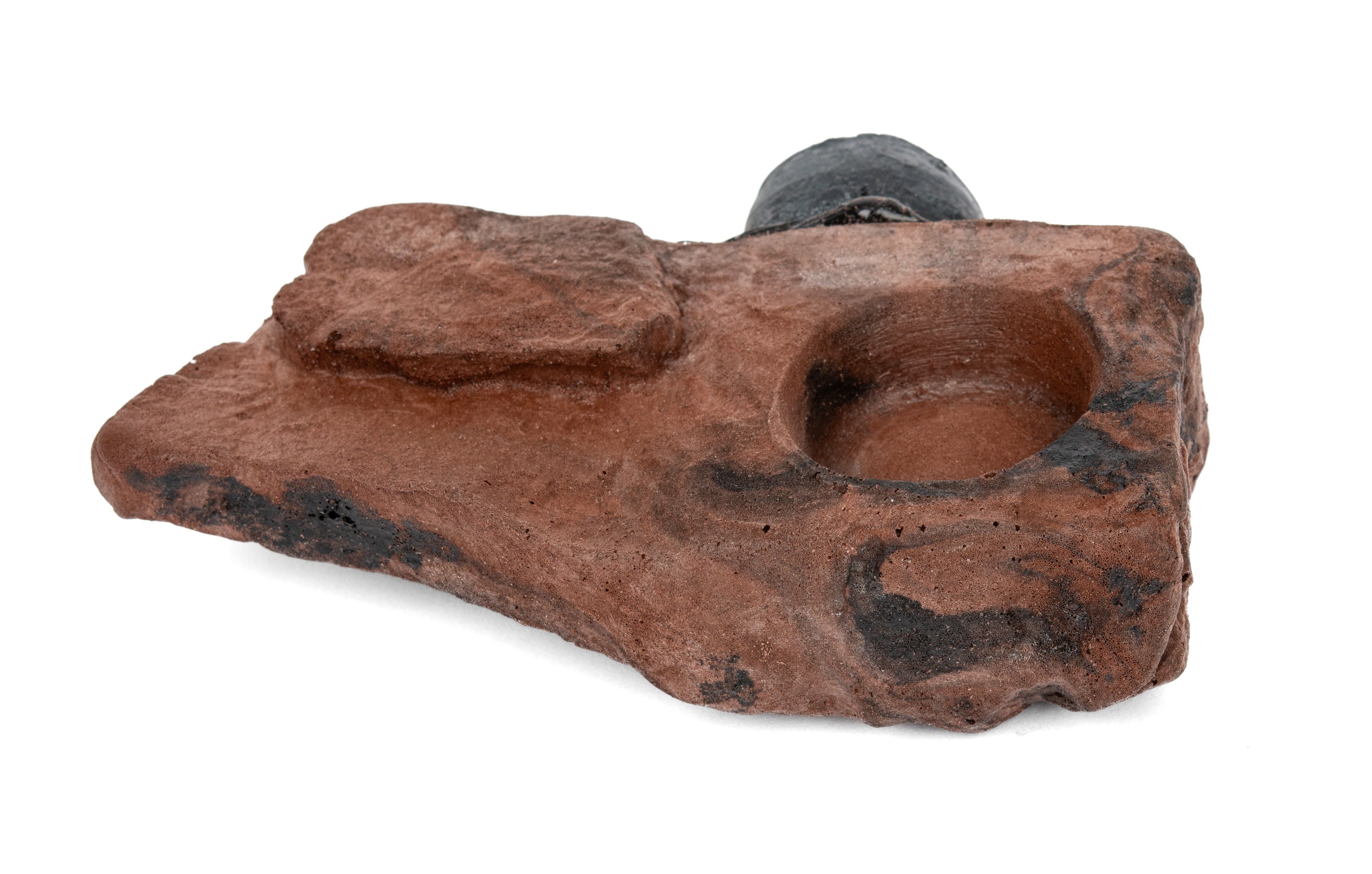 Magnaturals Mini Gecko Ledge - Single Cup (0.5 oz.)