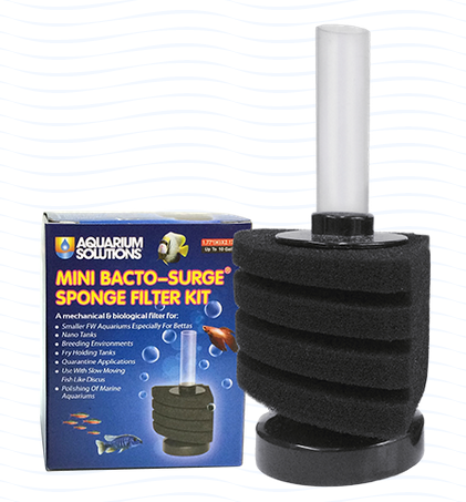 Hikari Bacto Surge filter (Special Order)
