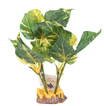 Aquaglobe Silk Aureum 10"