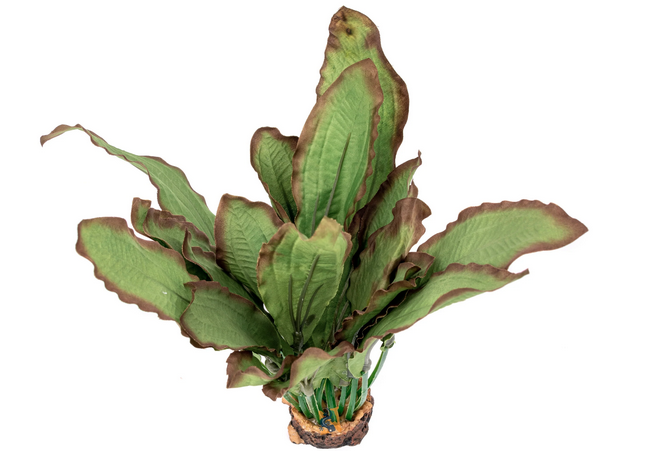 Aquaglobe Silk Ruba 12"