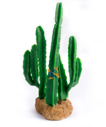 Aquaglobe Sunrise Cactus 5"