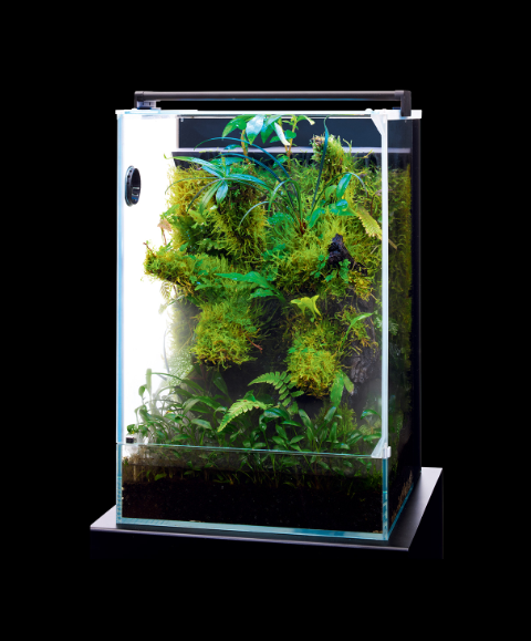 DOOA System Paluda 30 (Message For Shipping Qoute)
