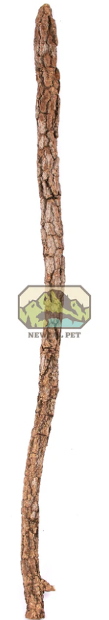 NewCal Galho Estrela Natural Cork Branch 1-1.5" Diameter