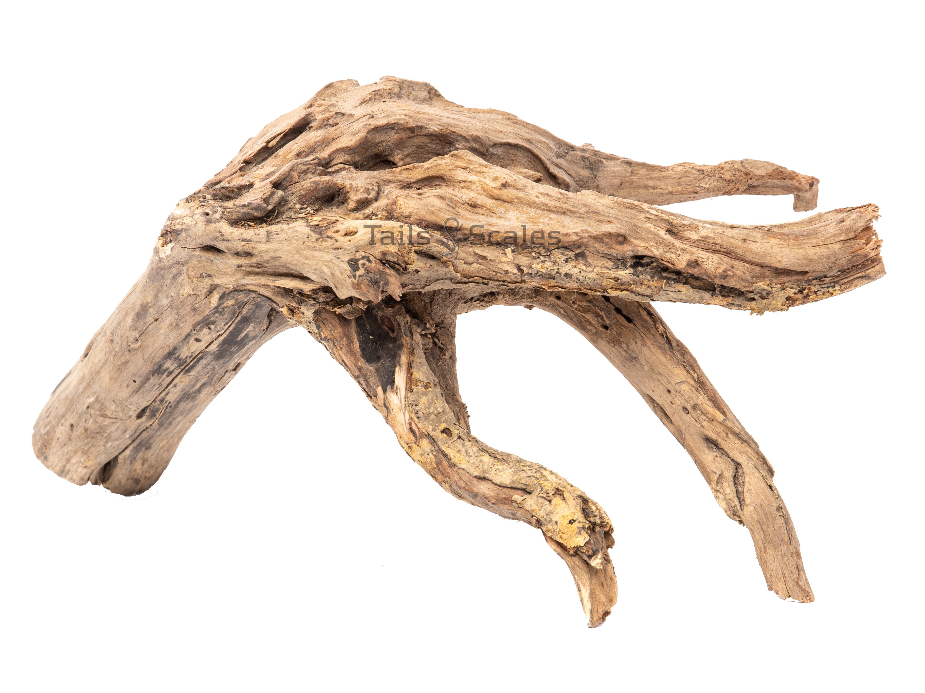 Aquaglobe Neka Wood