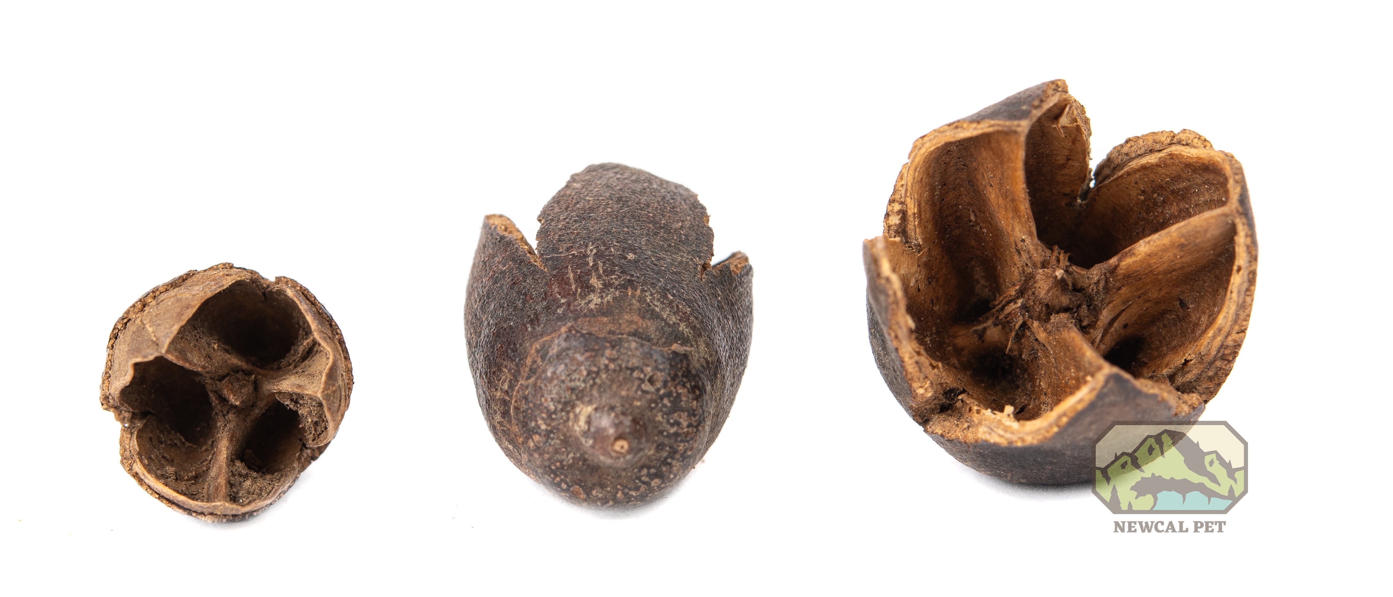 NewCal Bakuli Pods