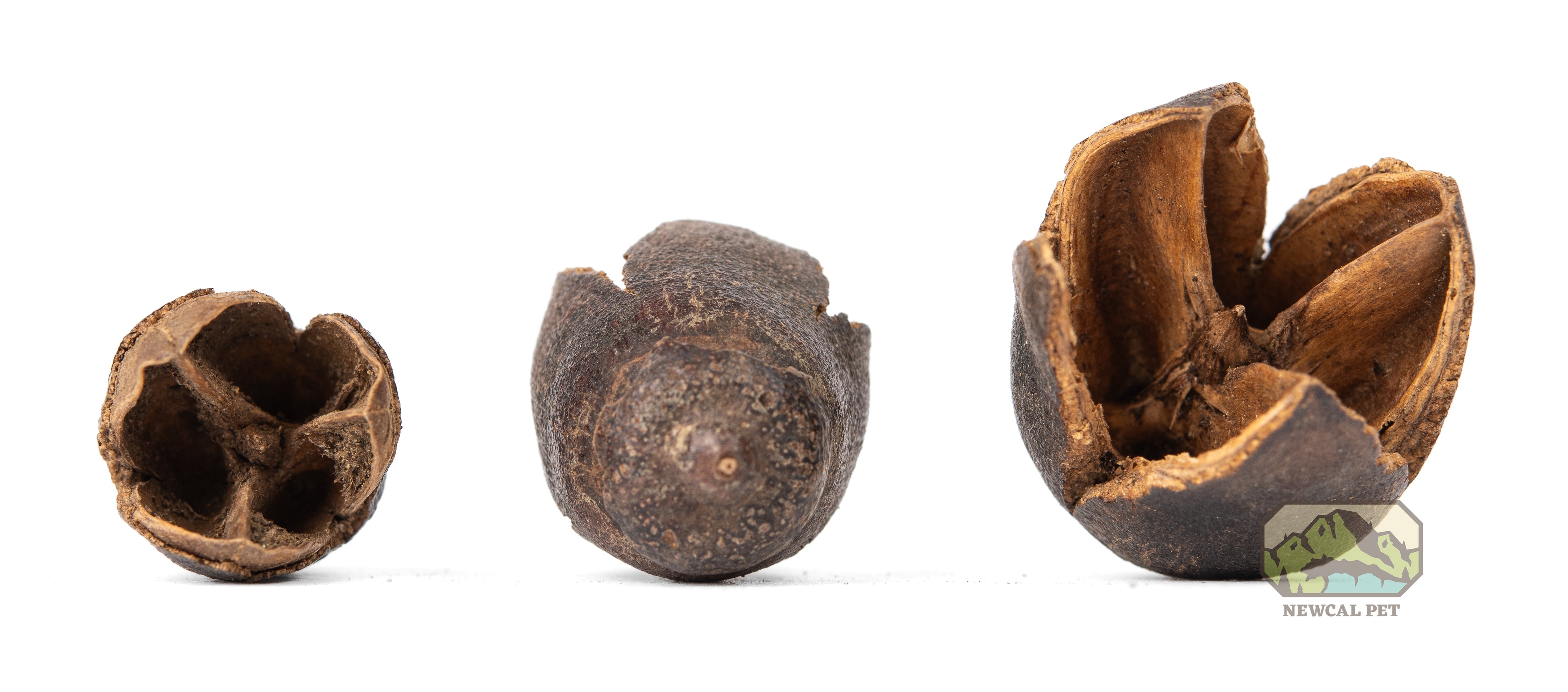 NewCal Bakuli Pods