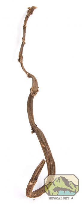 NewCal Banana Cane Stick 24"