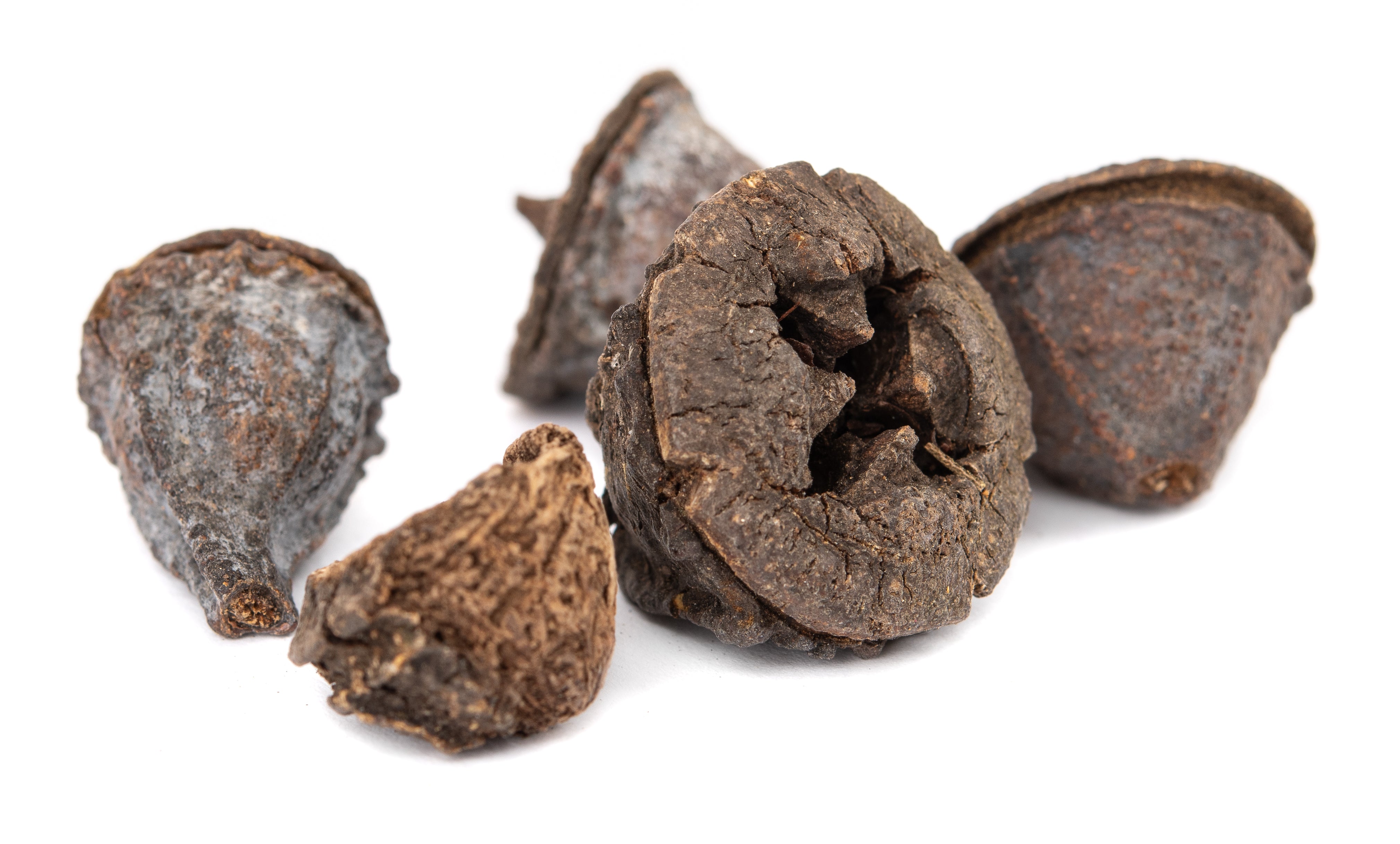 NewCal Eucalyptus Button Pods