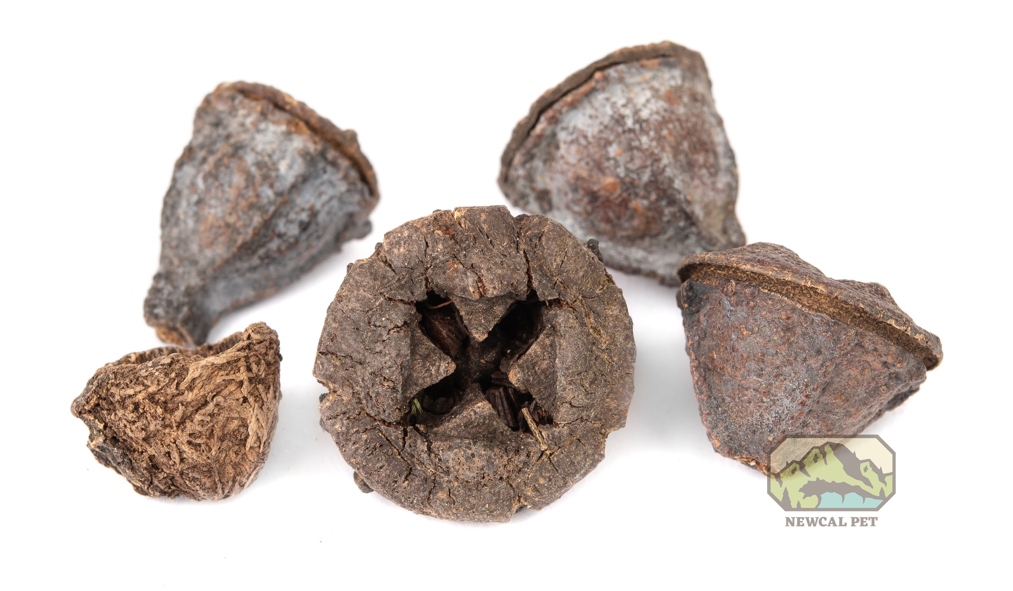 NewCal Eucalyptus Button Pods