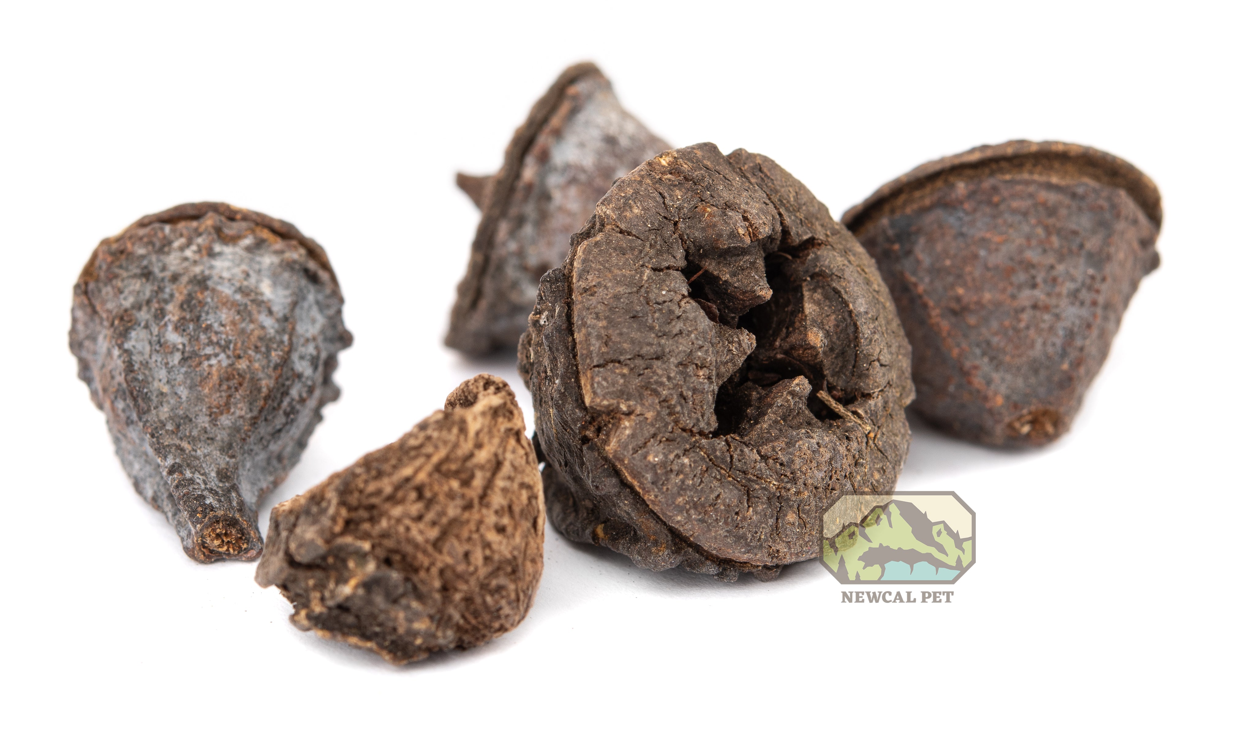 NewCal Eucalyptus Button Pods