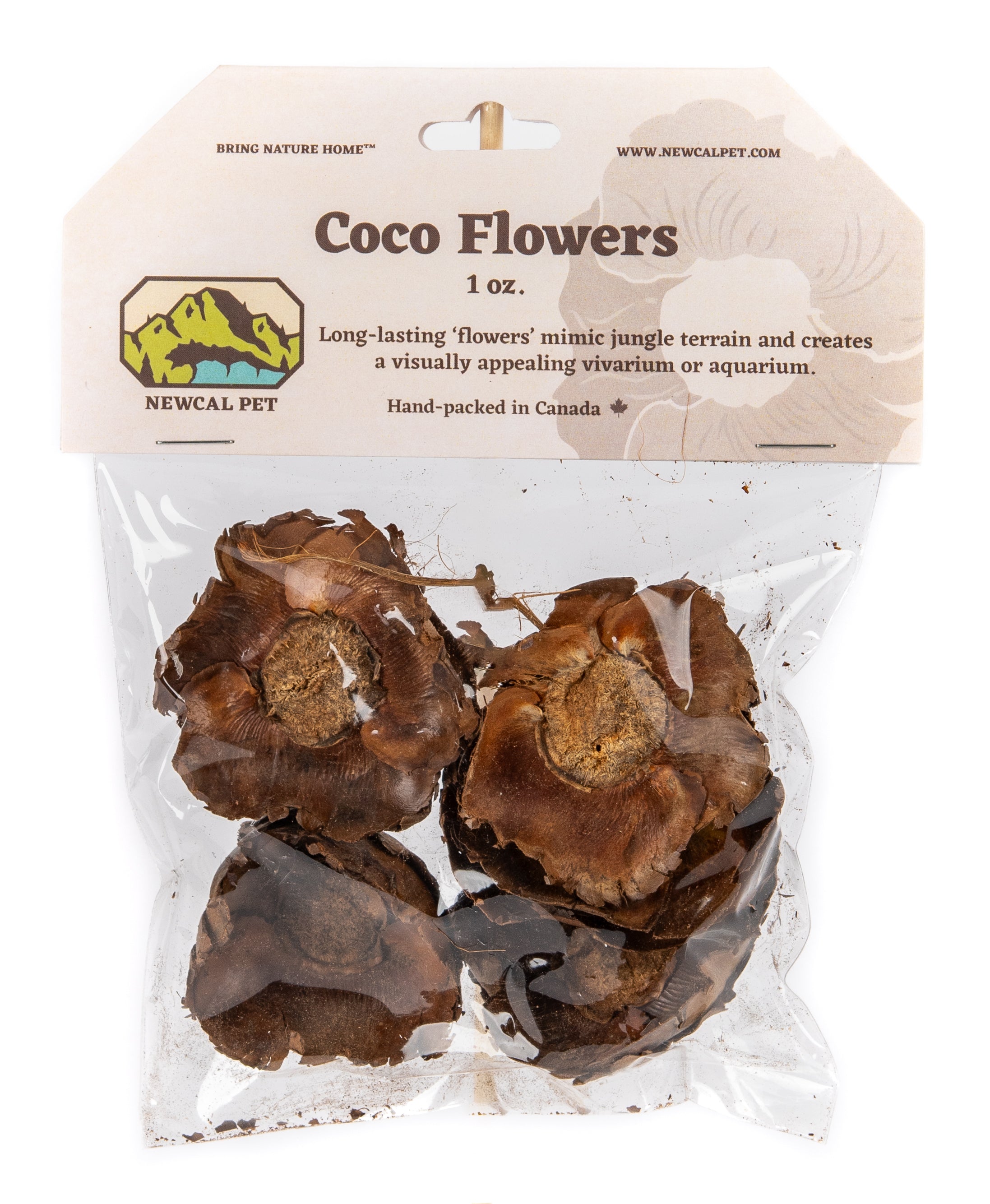 NewCal Coco Flowers