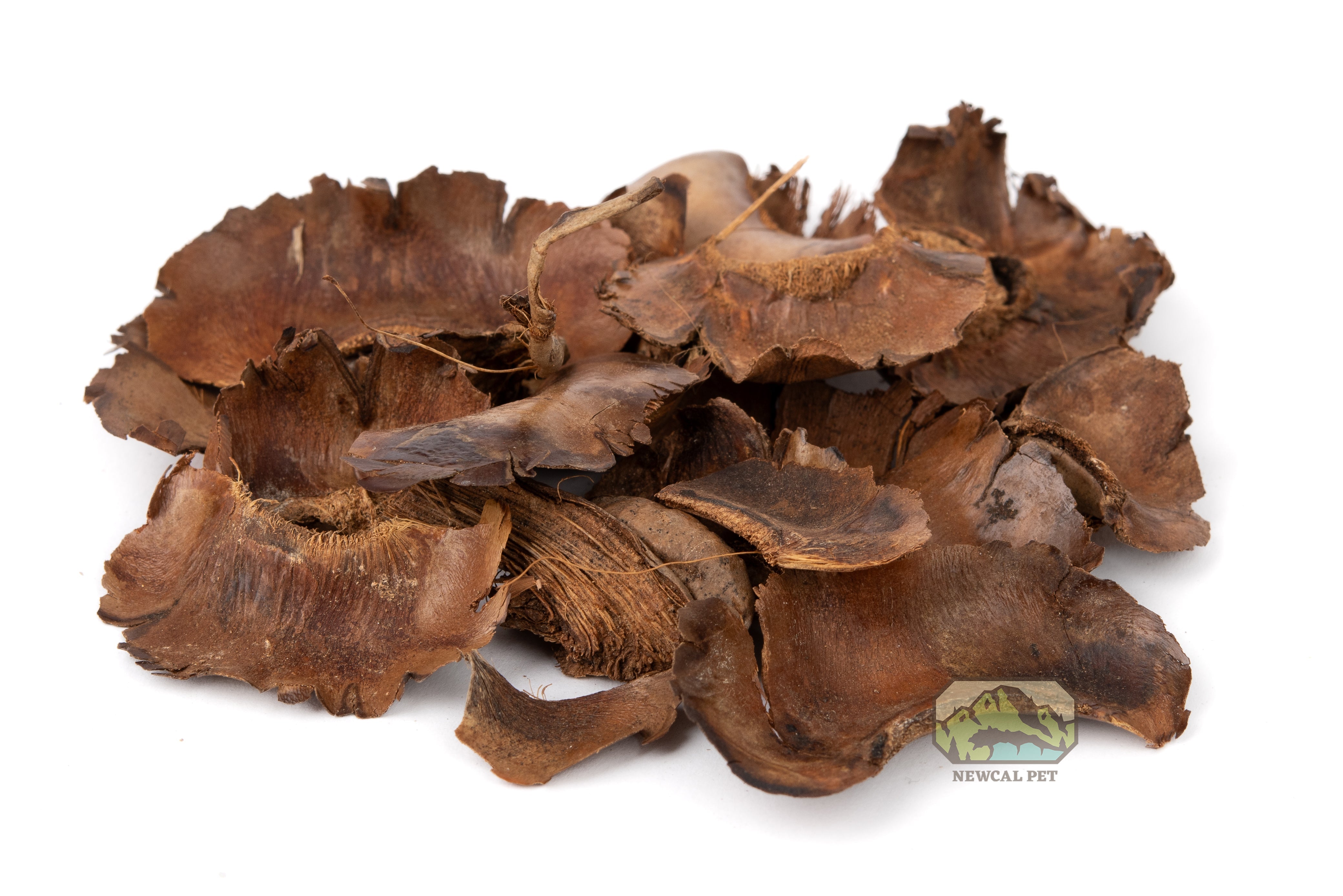 NewCal Coco Petals