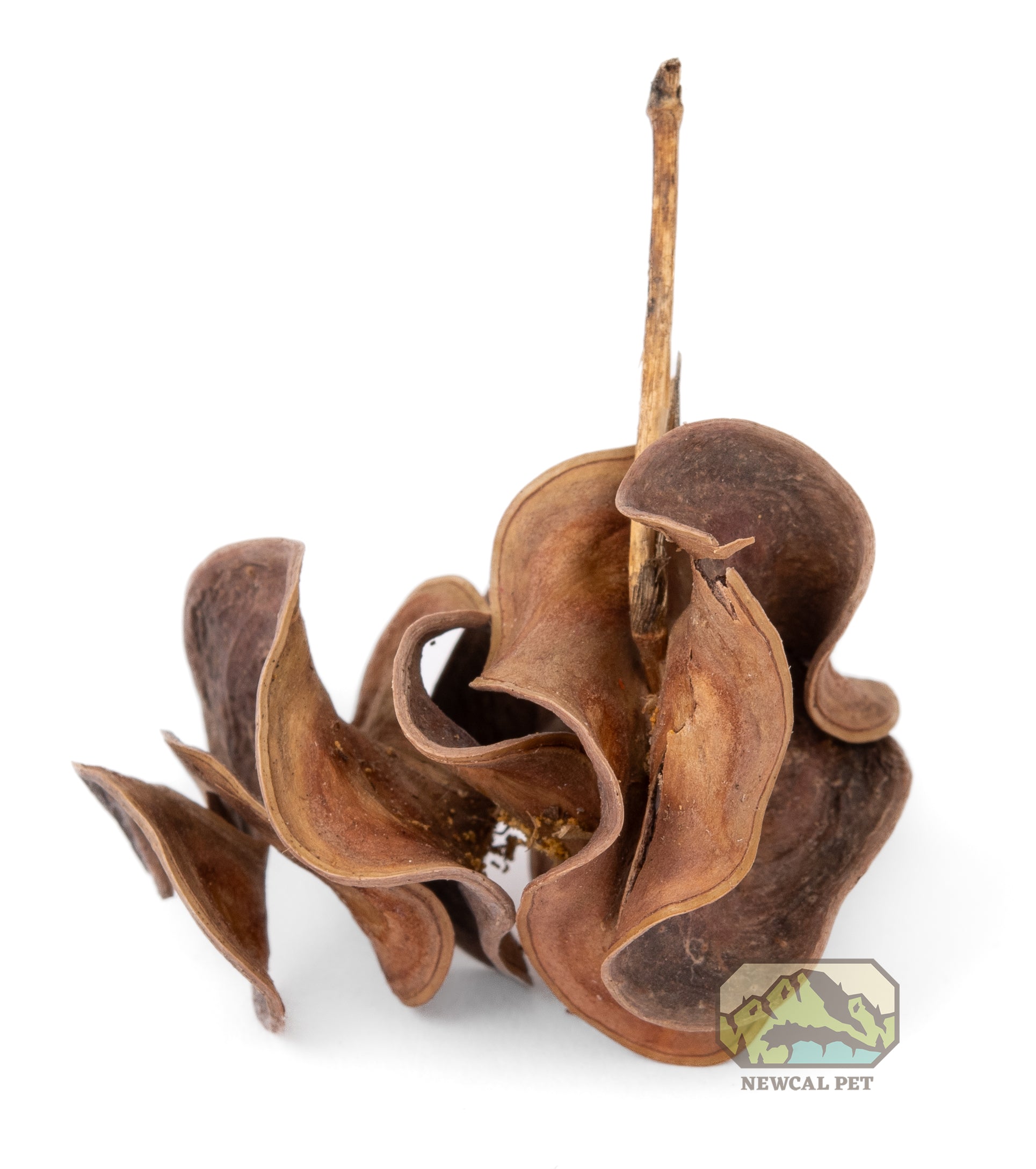 NewCal Curly Pods