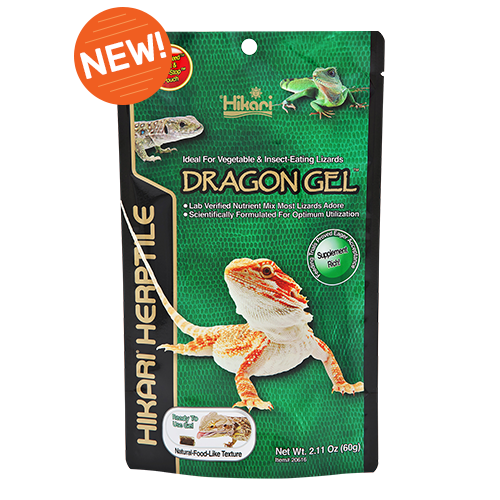 Hikari DragonGel (Special Order)
