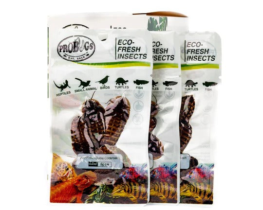 ProBugs Eco-Fresh Dubia Cockroaches