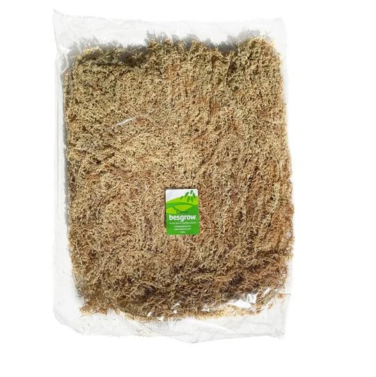 Besgrow SpagMoss Premium Long Strand Sphagnum Moss