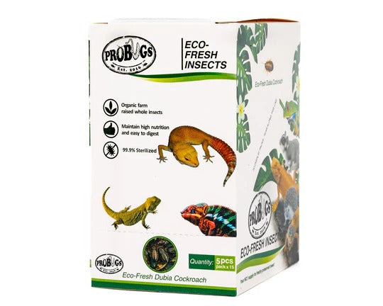 ProBugs Eco-Fresh Dubia Cockroaches