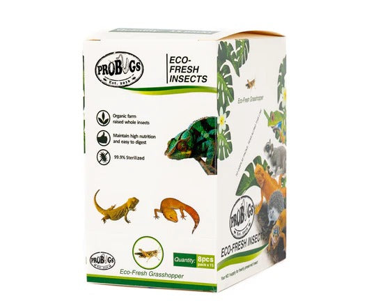 ProBugs Eco-Fresh Grasshoppers