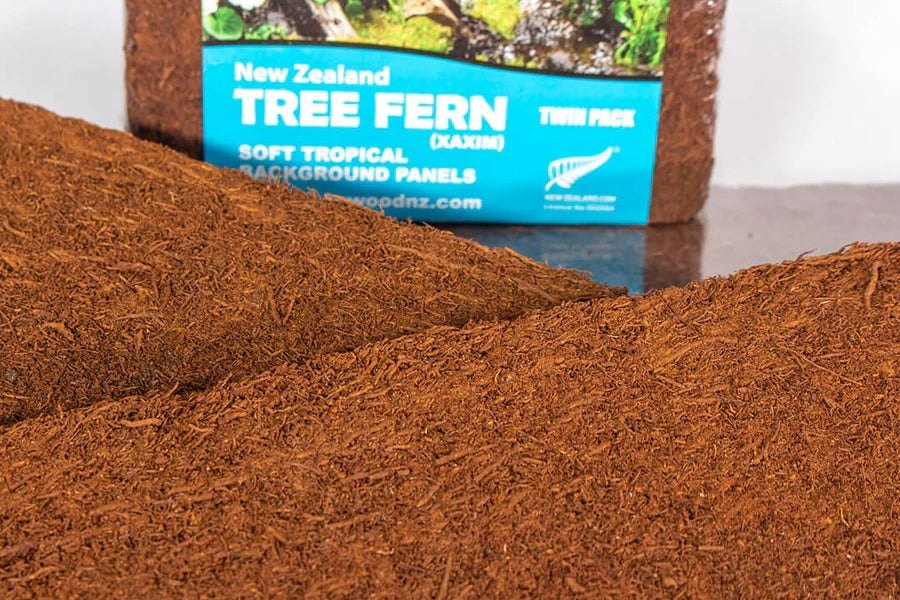 Fernwood Treefern Panel 2 Pack- Background
