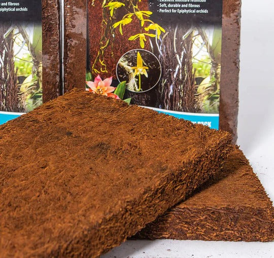 Fernwood Treefern Panel 2 Pack- Orchid Board