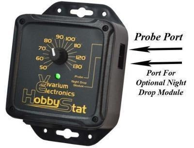 Vivarium Electronics Model HobbyStat