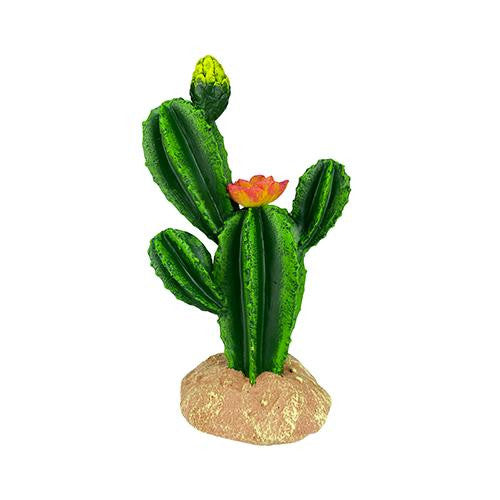 Komodo Cactus with Flower 9"