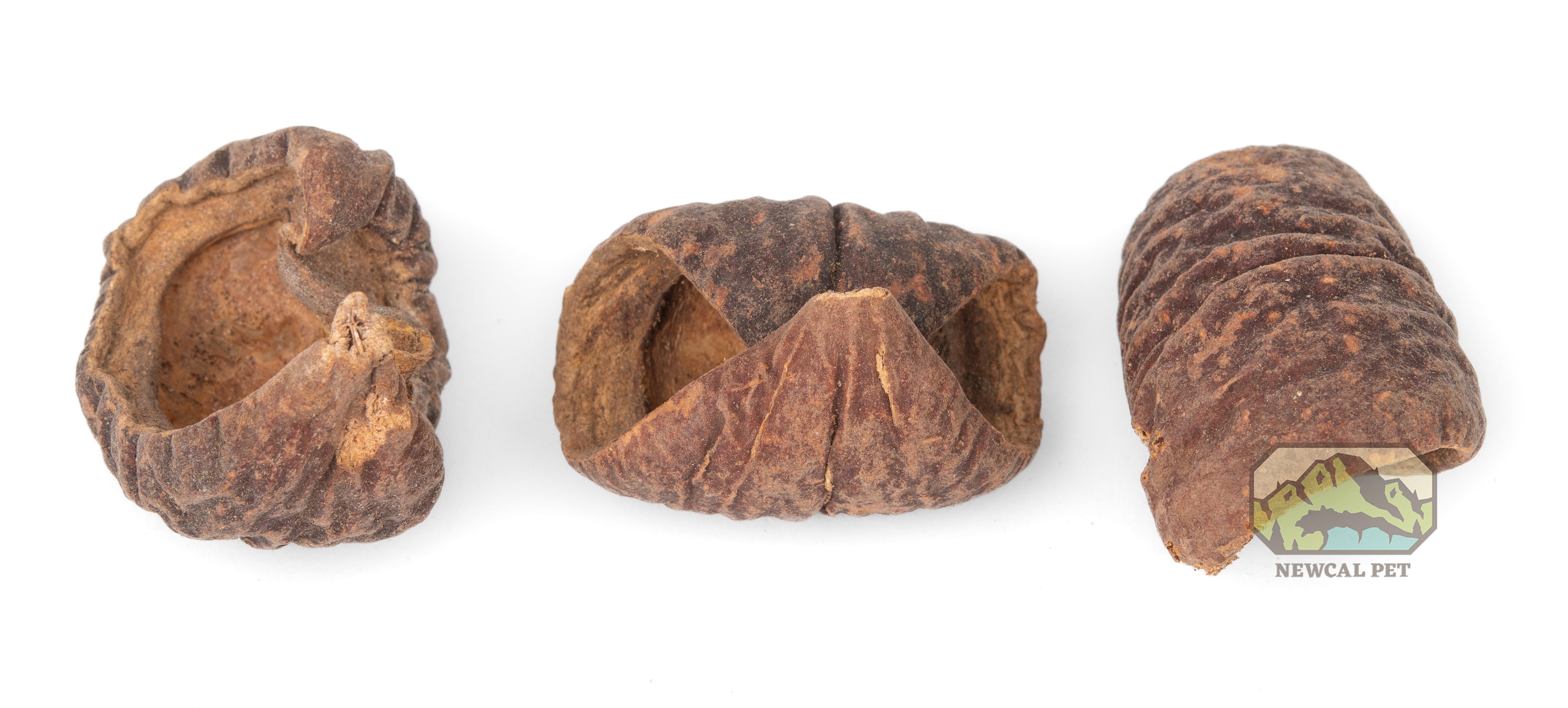 NewCal Lafi Pods