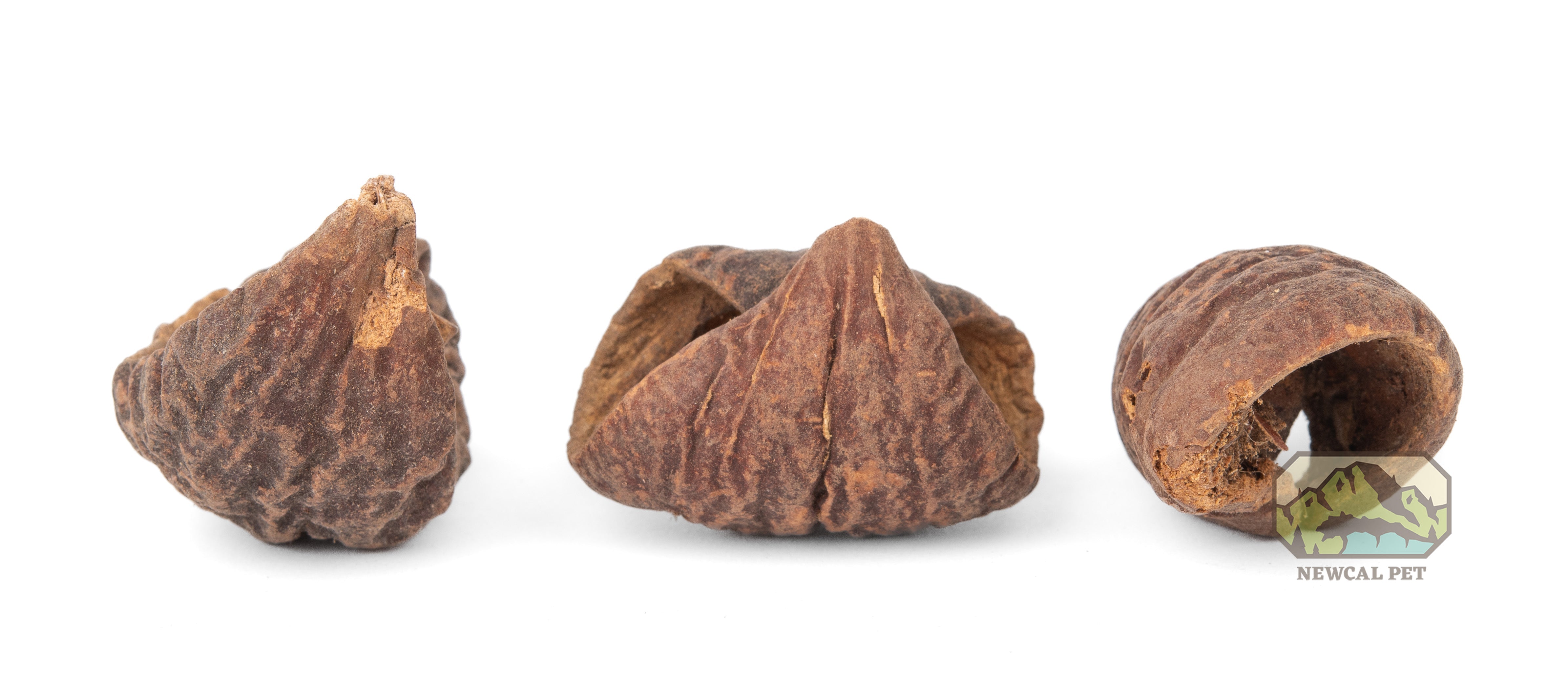 NewCal Lafi Pods