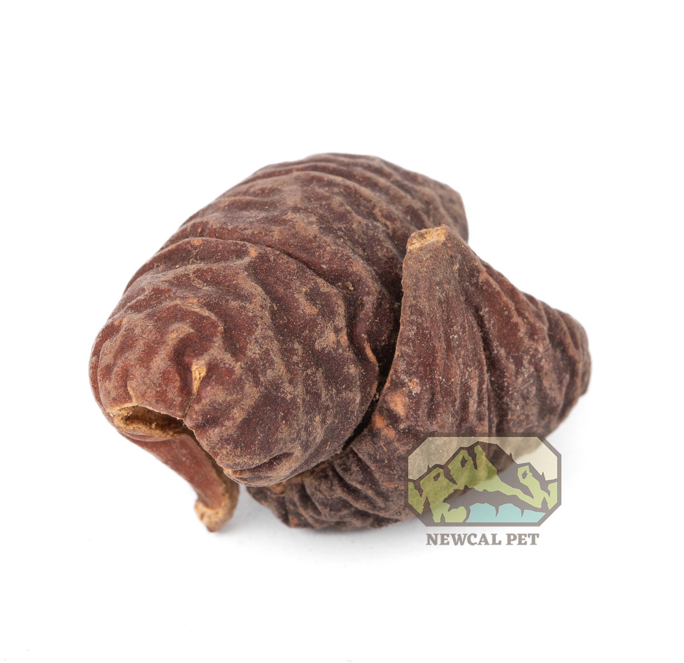 NewCal Lafi Pods