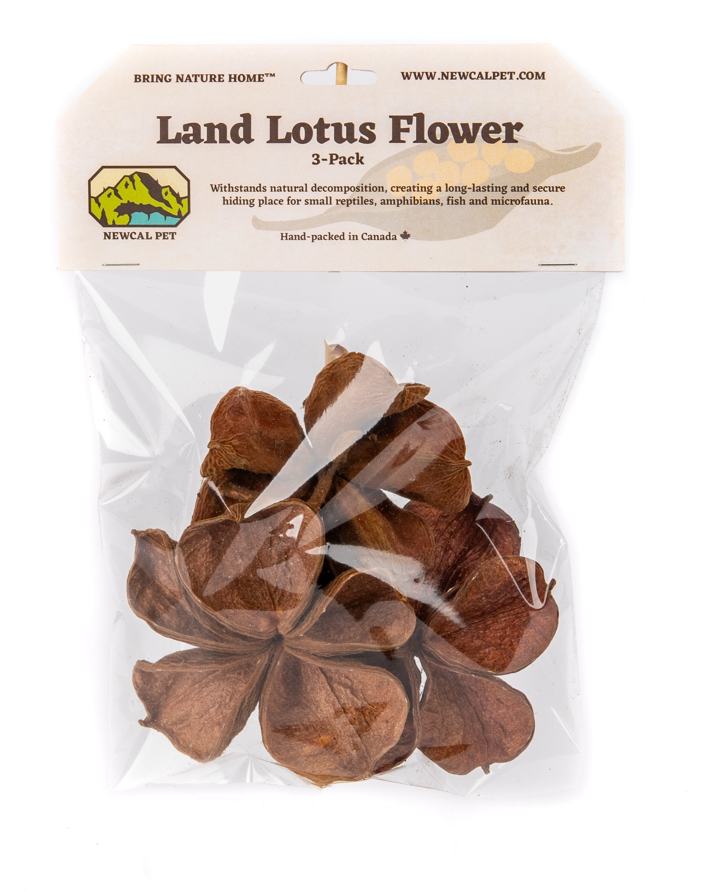 NewCal Land Lotus Flower