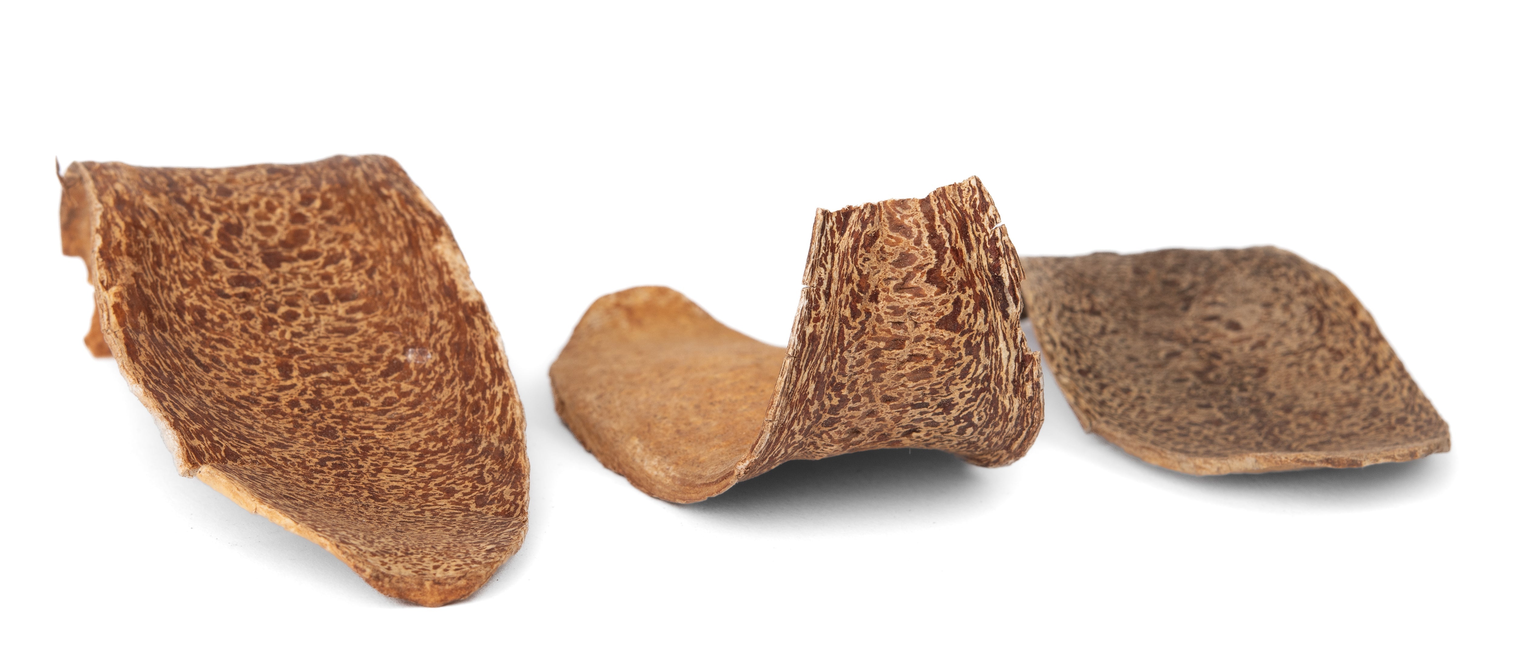 NewCal Mahogany Petals