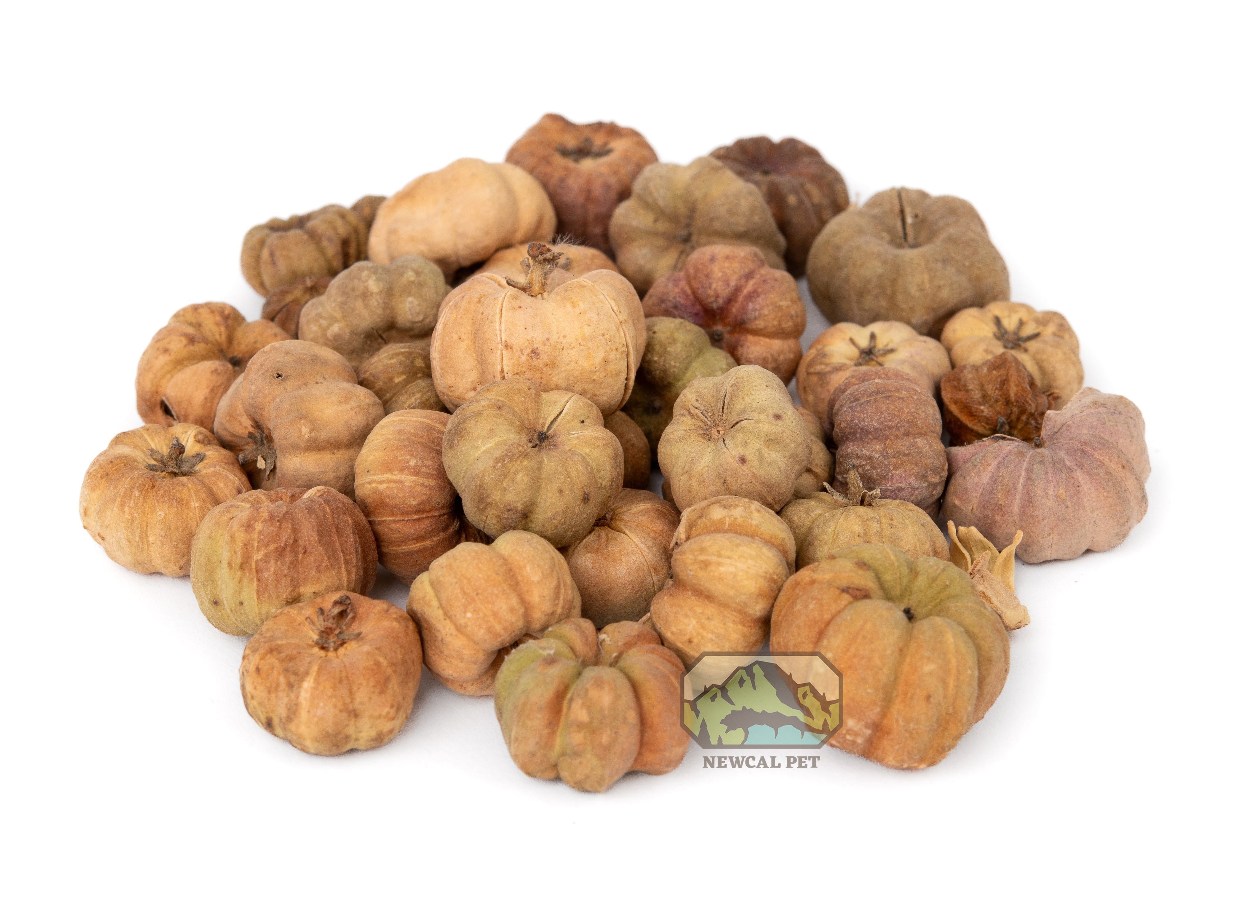 NewCal Mini Pumpkin Pods
