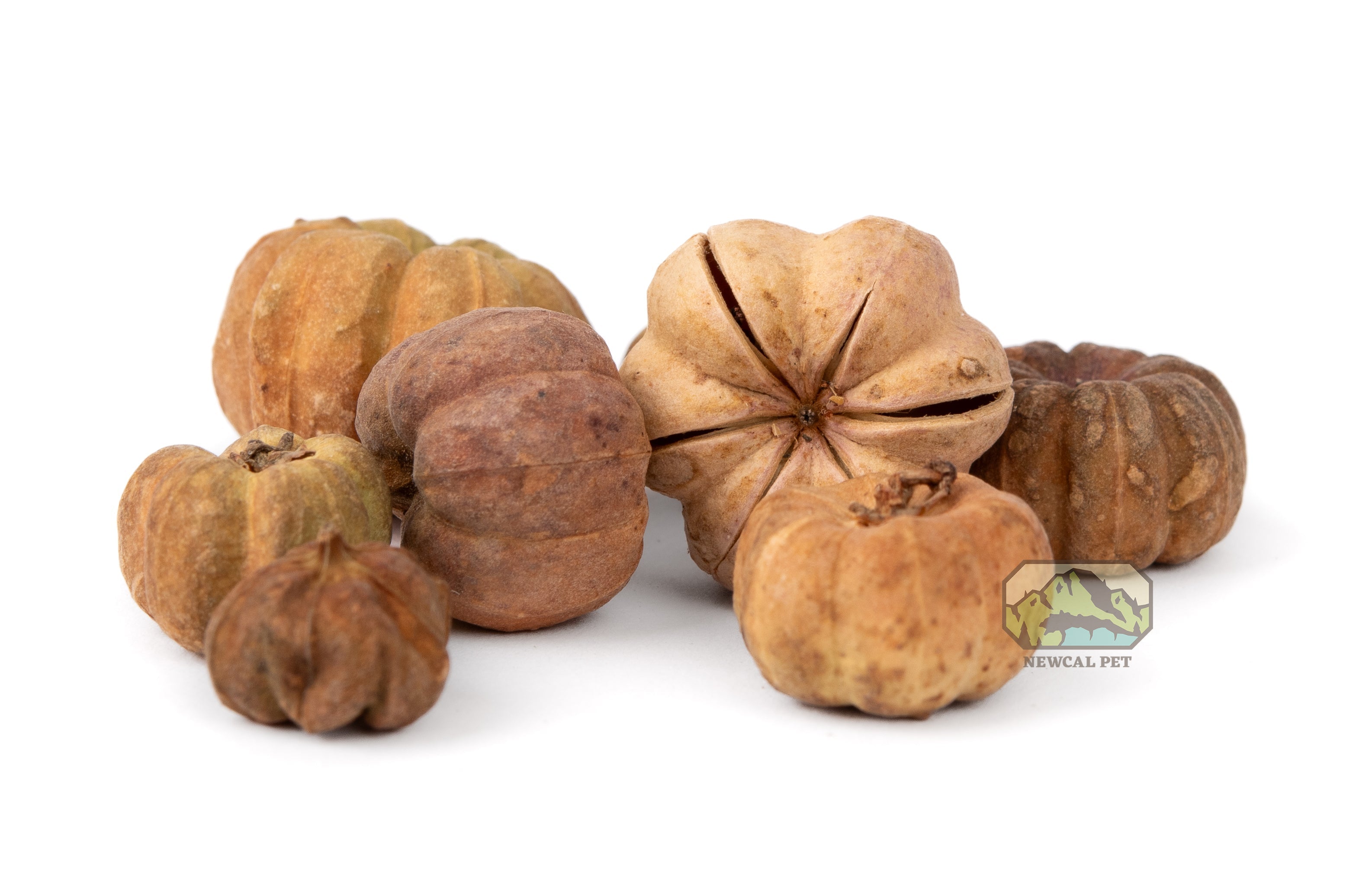 NewCal Mini Pumpkin Pods