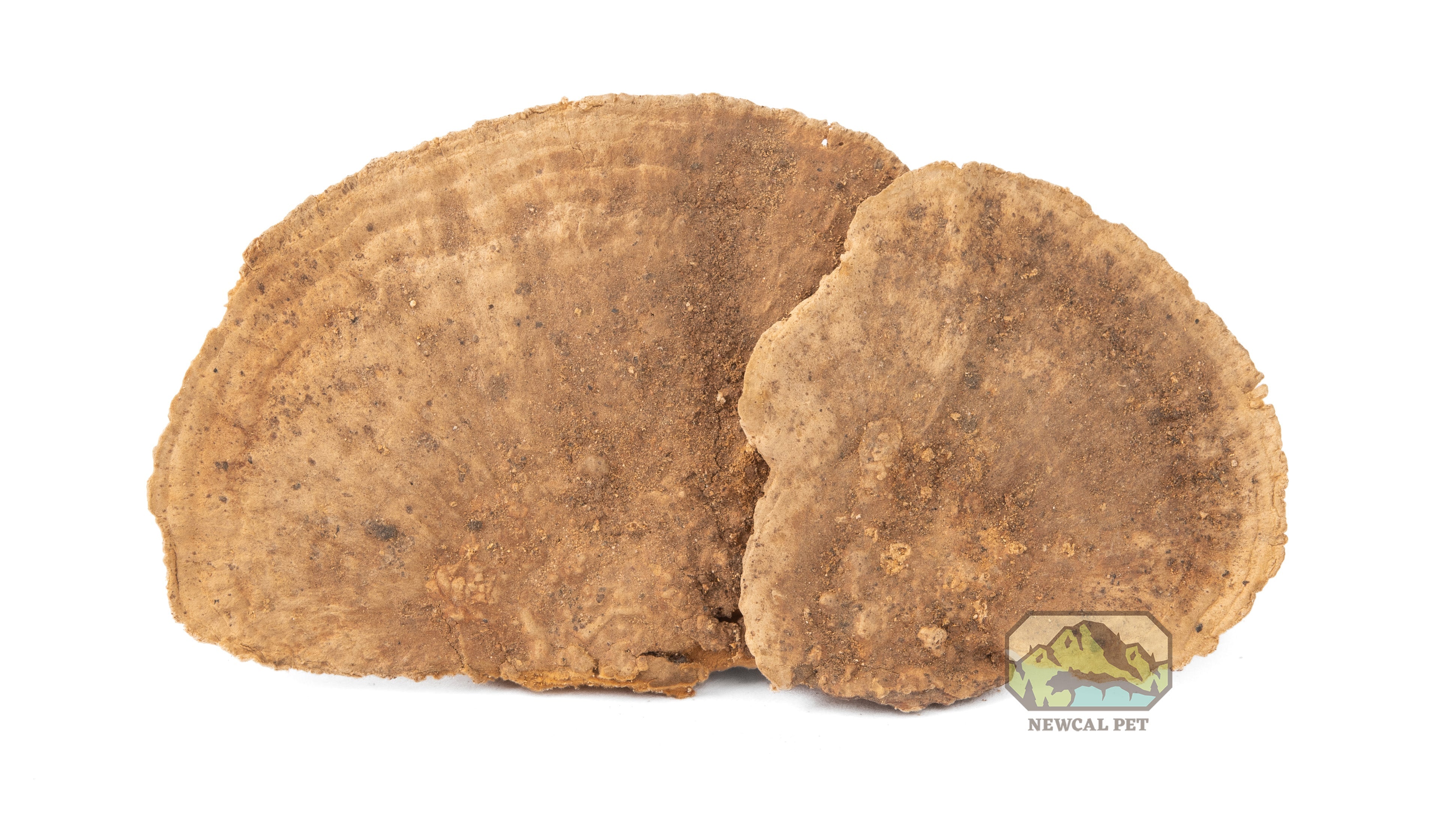 NewCal Mini Sponge Mushroom