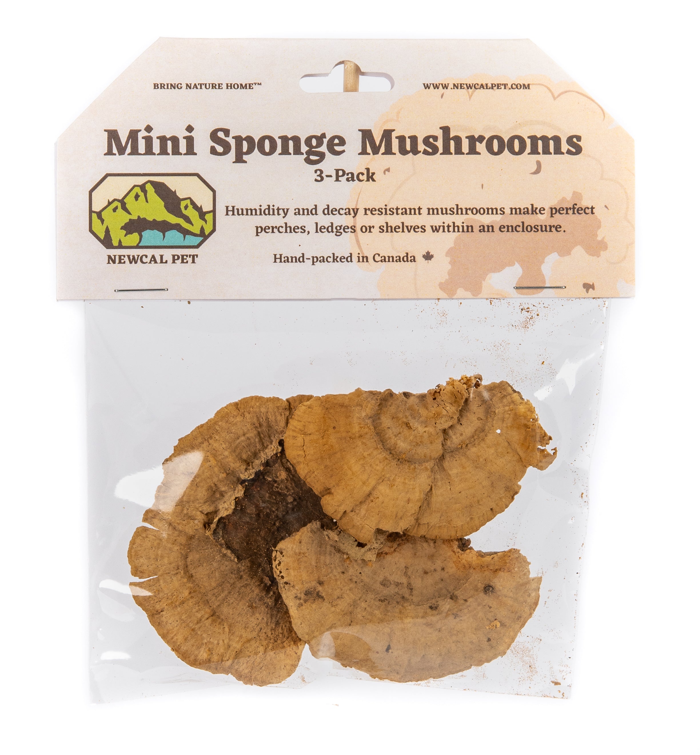 NewCal Mini Sponge Mushroom
