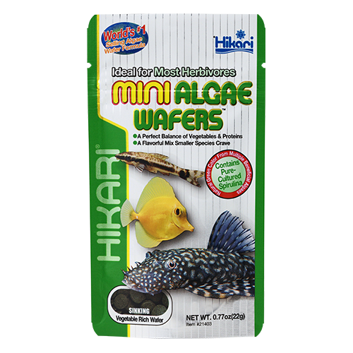 Hikari Mini Algae Wafers (Special Order)