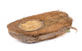 NewCal Coconut Half Bowl - Aprrox. 8"
