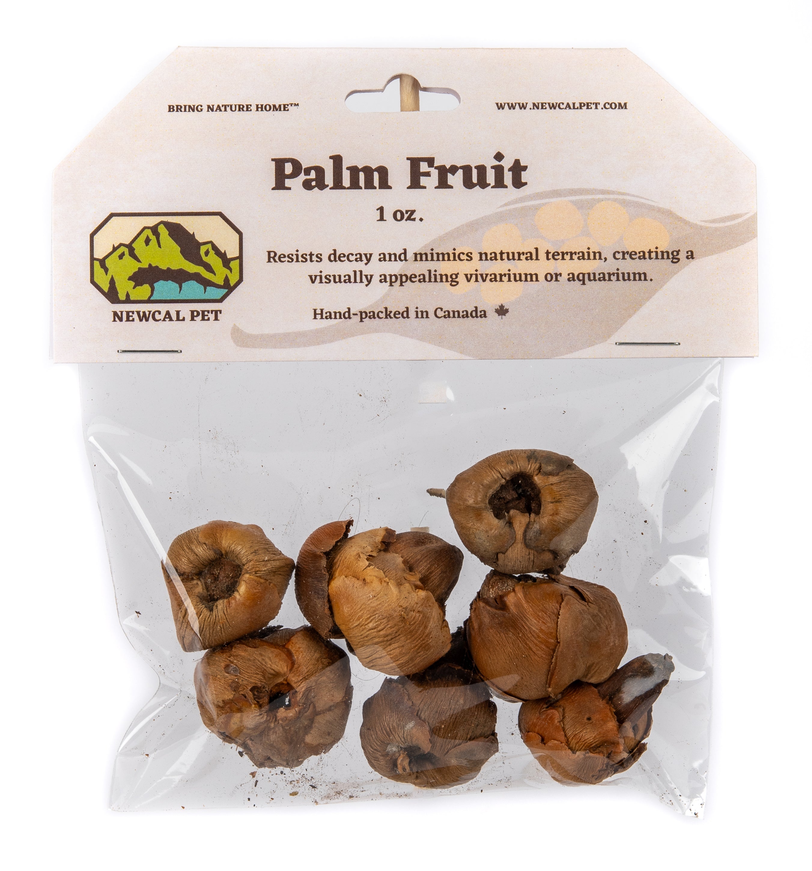 NewCal Palm Fruit