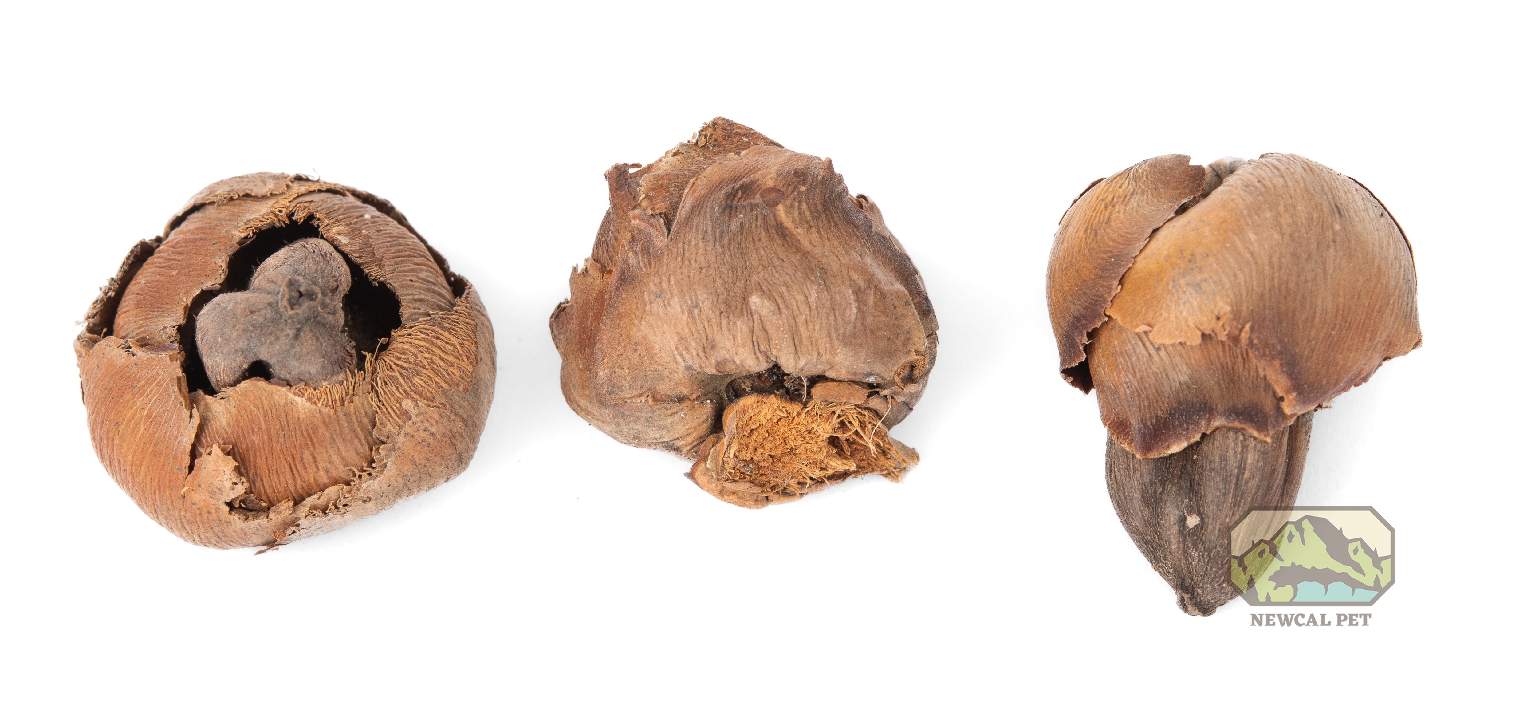 NewCal Palm Fruit