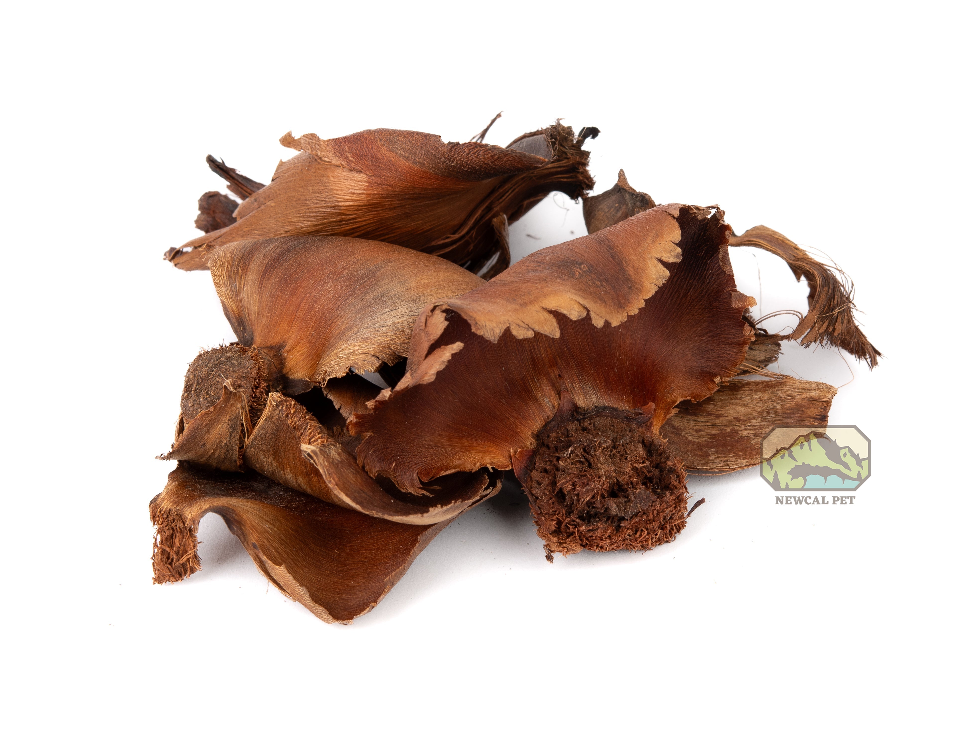 NewCal Palm Petals