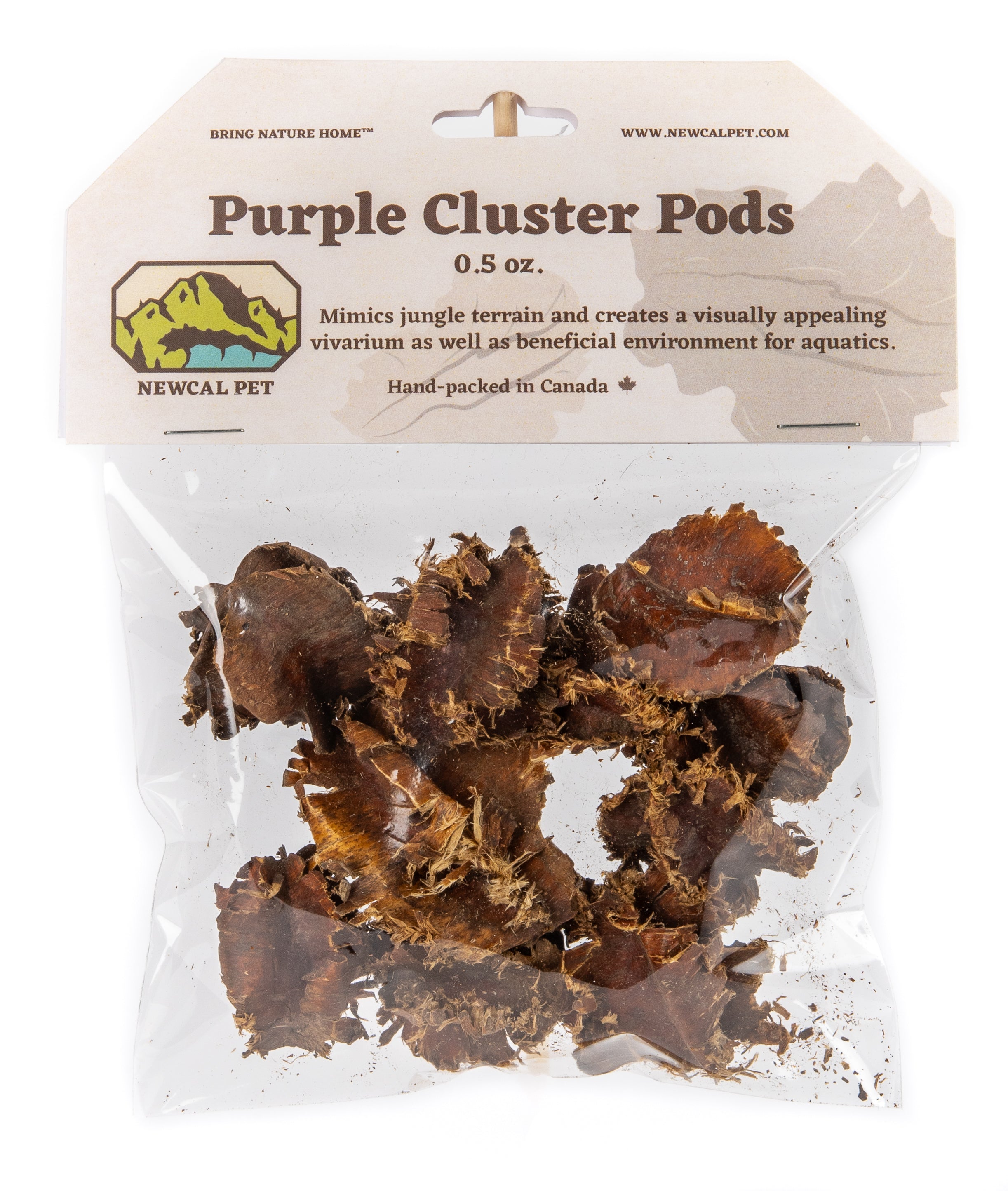 NewCal Purple Cluster Pods