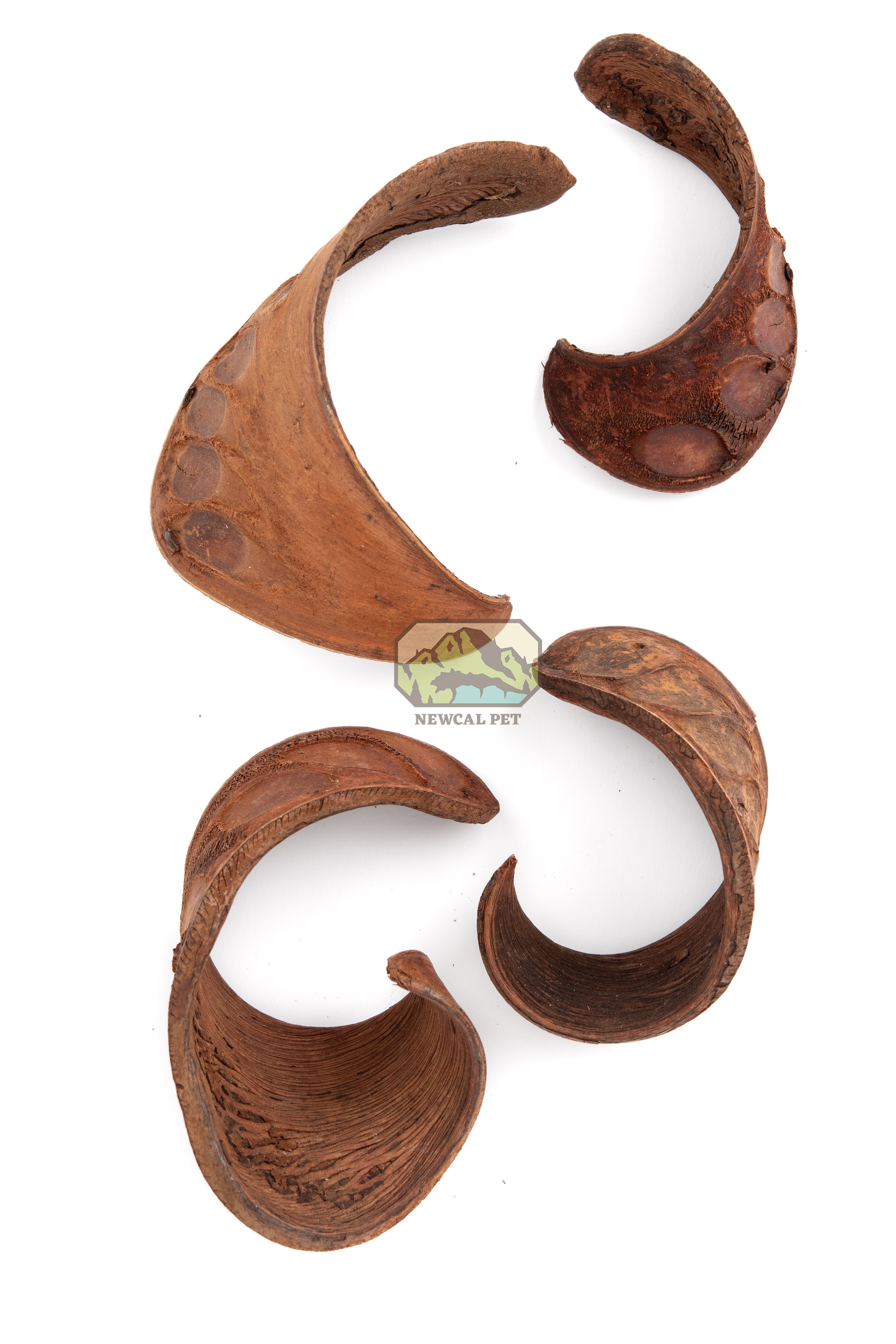NewCal Rabbits Ear