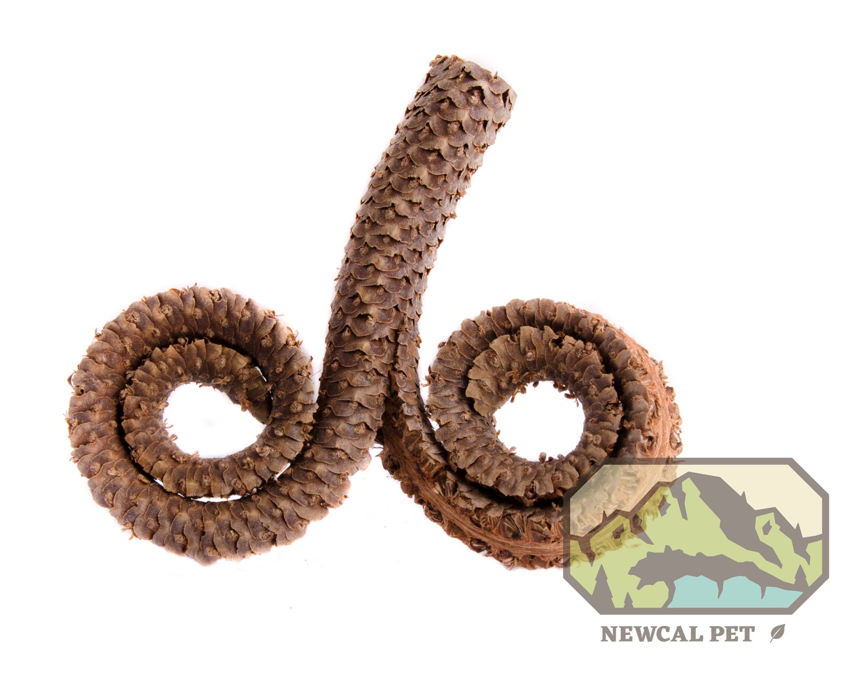 NewCal Ram's Head (male palm) 4-7"